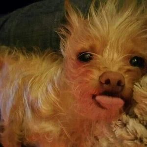 Meet your Posher, Stacy